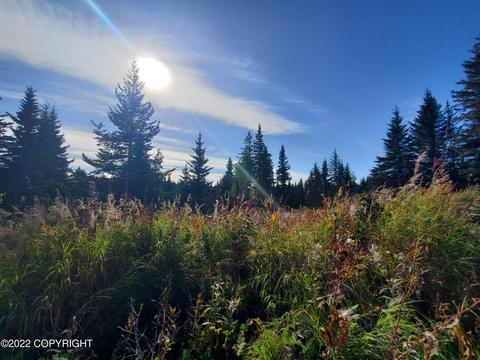 67695 Shavila Rd, Ninilchik, AK 99639