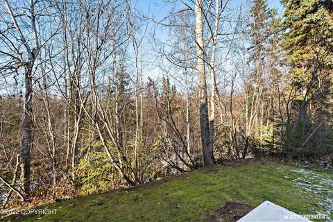 17933 Chardonnay Cir, Eagle River, AK 99577 photo 25