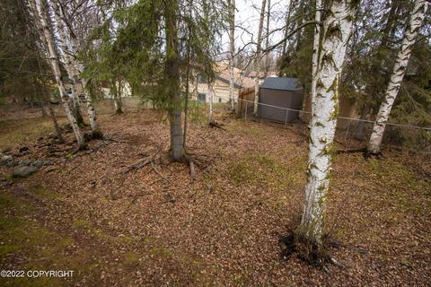 9816 Kitlina Cir, Eagle River, AK 99577 photo 50
