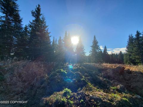67663 Shavila Rd, Ninilchik, AK 99639