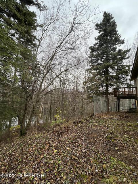 12721 Iris Way, Eagle River, AK 99577 photo 5