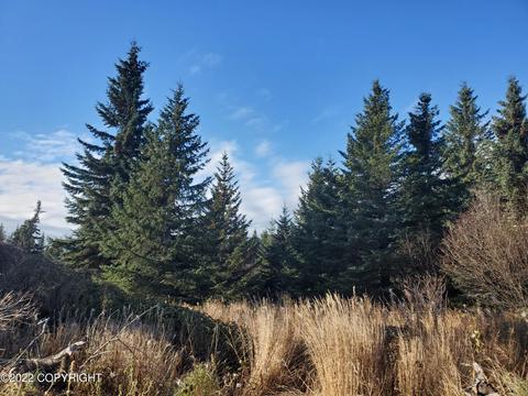 17309 Kimeluk St, Ninilchik, AK 99639