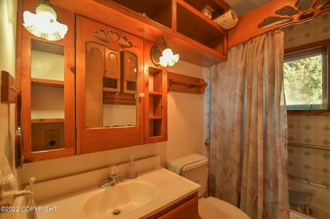 232 E Danview Ave, Homer, AK 99603 photo 34