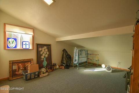 232 E Danview Ave, Homer, AK 99603 photo 18