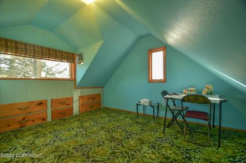 232 E Danview Ave, Homer, AK 99603 photo 43