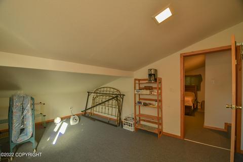 232 E Danview Ave, Homer, AK 99603 photo 19