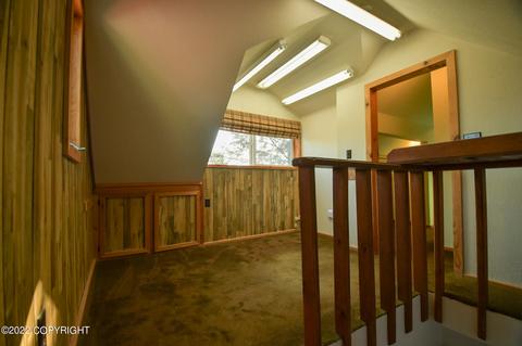 232 E Danview Ave, Homer, AK 99603 photo 39