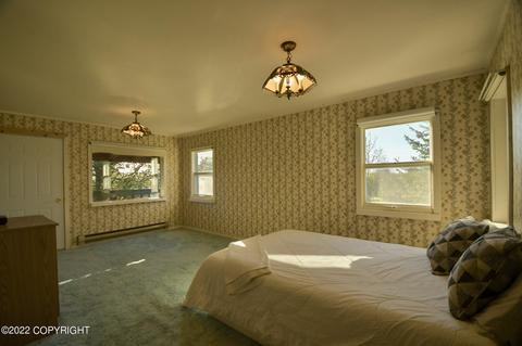 232 E Danview Ave, Homer, AK 99603 photo 25