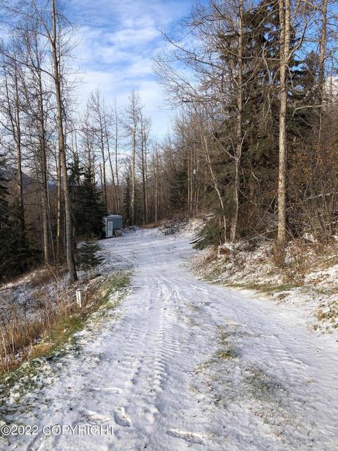 4164 Mariah Dr, Eagle River, AK 99577 photo 5