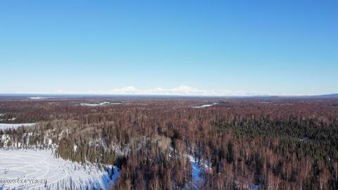 48678 S Parks Hwy, Talkeetna, AK 99676