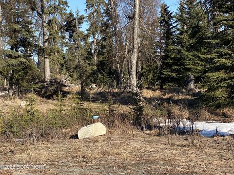 17417 Gilbert St, Ninilchik, AK 99639 photo 10