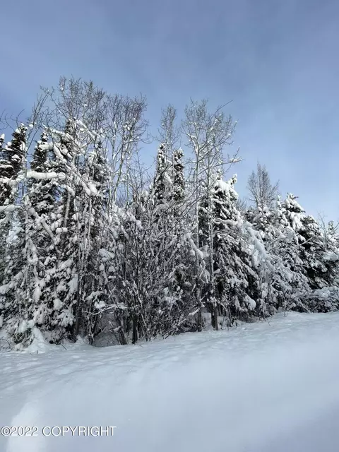 13729 E Beaver Dr, Willow, AK 99688 photo 5