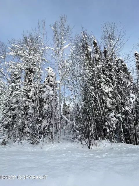 13729 E Beaver Dr, Willow, AK 99688 photo 7