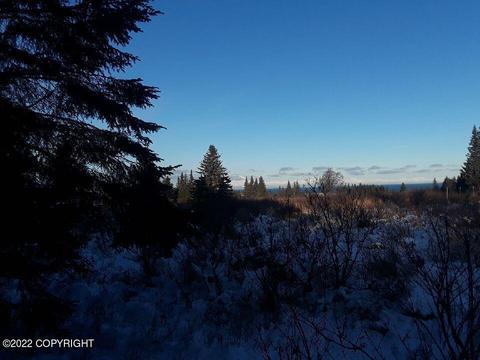 17285 Kimeluk St, Ninilchik, AK 99639