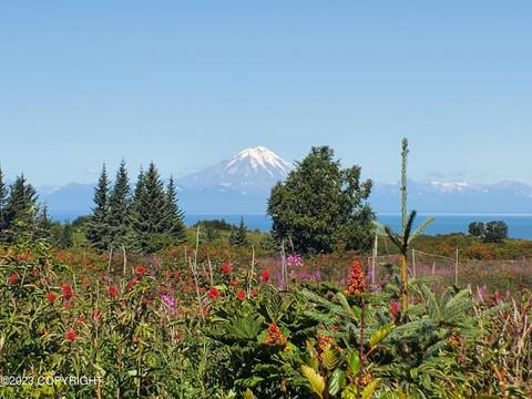 17259 Kimeluk St, Ninilchik, AK 99639