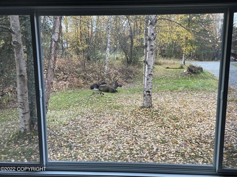 15443 Husky St, Eagle River, AK 99577 photo 71