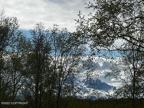 8409 E Windy Woods Loop, Palmer, AK 99645 photo 3