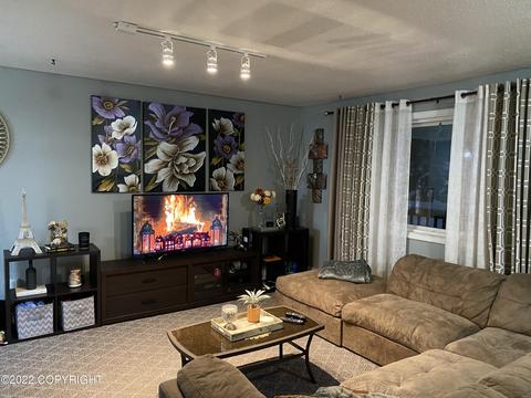 1734 Thunderbird Pl, Anchorage, AK 99508 photo 1