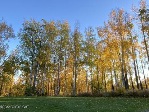 2985 W Discovery Loop, Wasilla, AK 99654 photo 69