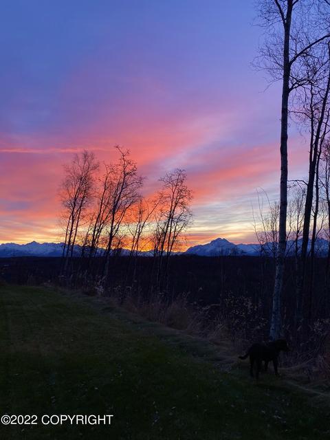 2985 W Discovery Loop, Wasilla, AK 99654 photo 86