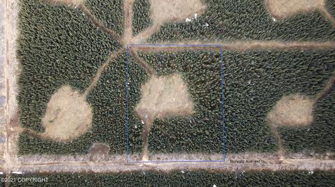 Lot 13 Boreal Forest Subdivision, Tok, AK 99780