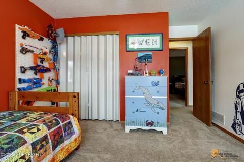 3911 E 86th Ave, Anchorage, AK 99507 photo 23