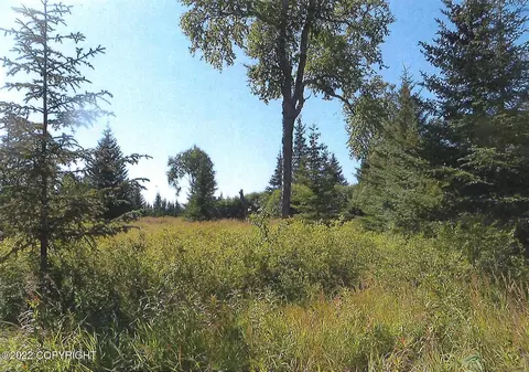 21579 Twilight St, Ninilchik, AK 99639 photo 2