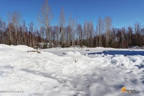 557 E Barra Loop, Wasilla, AK 99654 photo 33