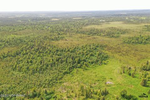 H25 Alaskan Wildwood Ranch, Nikolaevsk, AK 99556