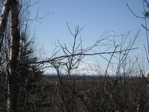 32385 Carlene St, Soldotna, AK 99669