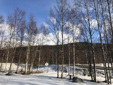 19239 Darby Rd, Eagle River, AK 99577 photo 15