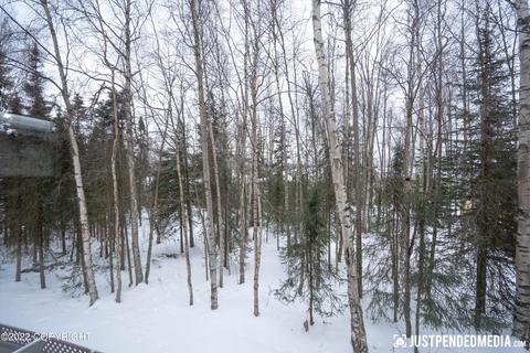 8637 Cross Pointe Loop, Anchorage, AK 99504 photo 23