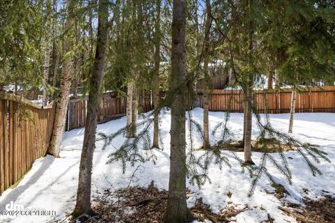 18557 Walrus Cir, Eagle River, AK 99577 photo 39