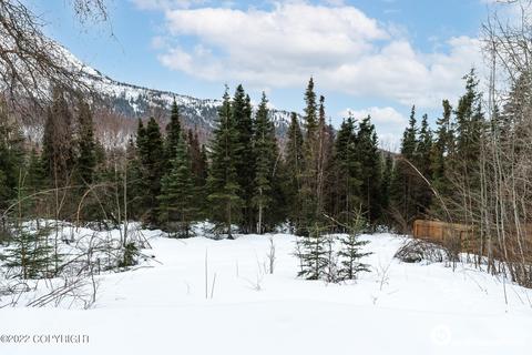 19030 Mountain Point Cir, Eagle River, AK 99577 photo 39