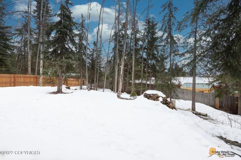 10215 Stewart Dr, Eagle River, AK 99577 photo 62