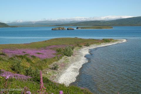 L2-3 N No Road Trail, Pilot Point, AK 99649