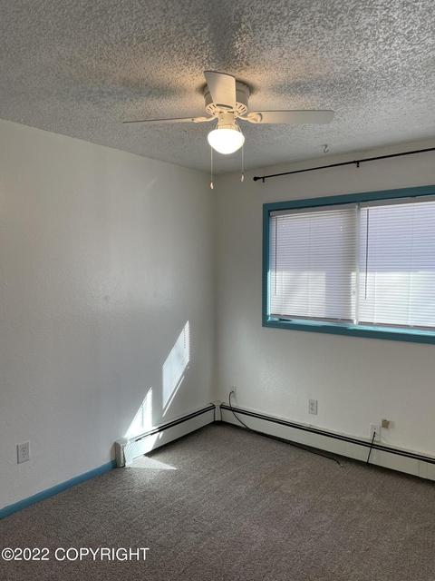 9417 Canton Loop # 162, Anchorage, AK 99515 photo 16