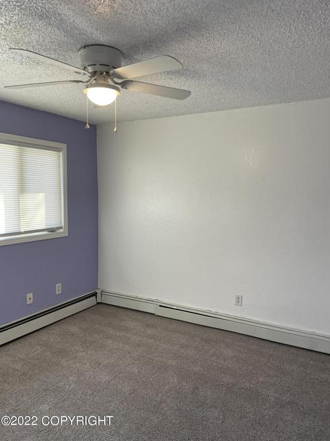9417 Canton Loop # 162, Anchorage, AK 99515 photo 14
