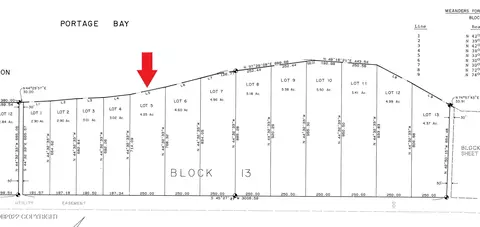 L5 B13 Keyes Point, Port Alsworth, AK 99653