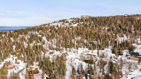 19280 Timberline Dr, Eagle River, AK 99577 photo 42