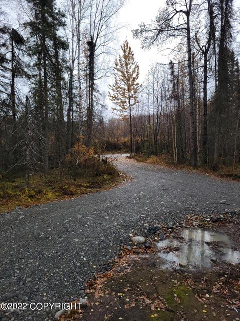51258 S Caswell Loop, Willow, AK 99688 photo 22