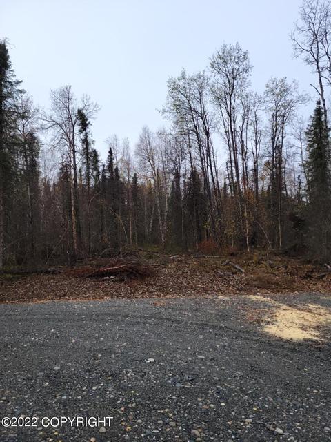 51258 S Caswell Loop, Willow, AK 99688 photo 25