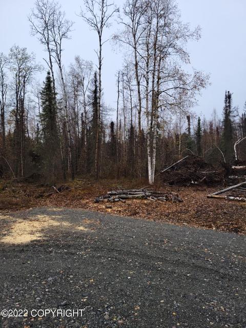 51258 S Caswell Loop, Willow, AK 99688 photo 23