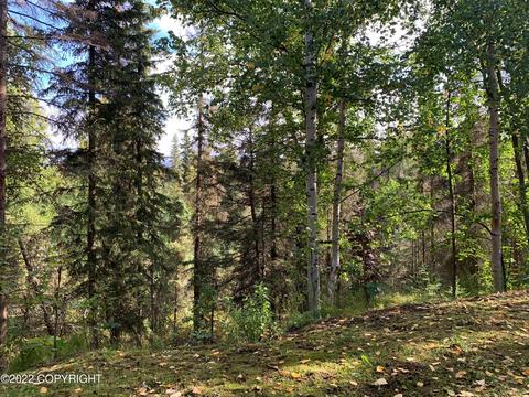 2929 E 48th Ave, Anchorage, AK 99507 photo 32