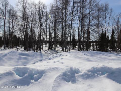 22548 W Willow Fishhook Rd, Willow, AK 99688 photo 33