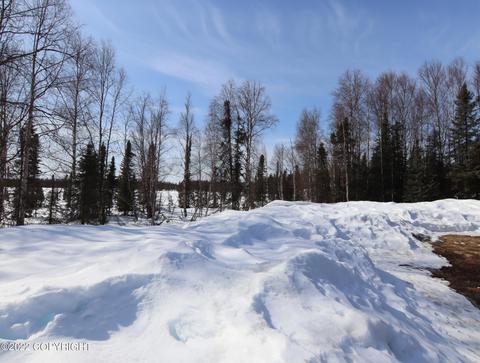 22548 W Willow Fishhook Rd, Willow, AK 99688 photo 34