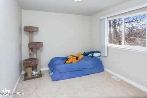 1243 E Hidden Ranch Loop, Palmer, AK 99645 photo 35