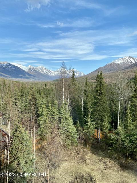19340 Trail Bay Dr, Eagle River, AK 99577 photo 3