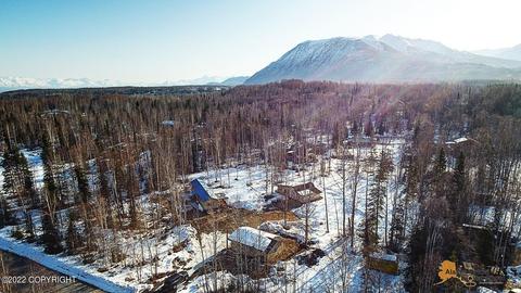 19921 Crabtree St, Chugiak, AK 99567 photo 51