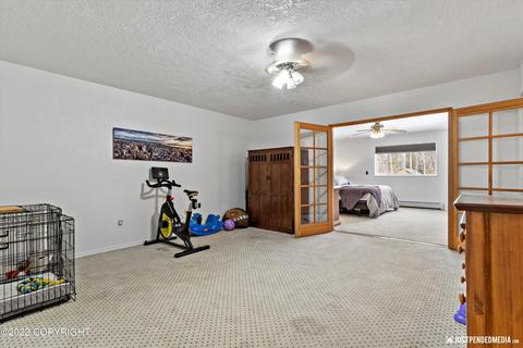24505 Teal Loop, Chugiak, AK 99567 photo 15